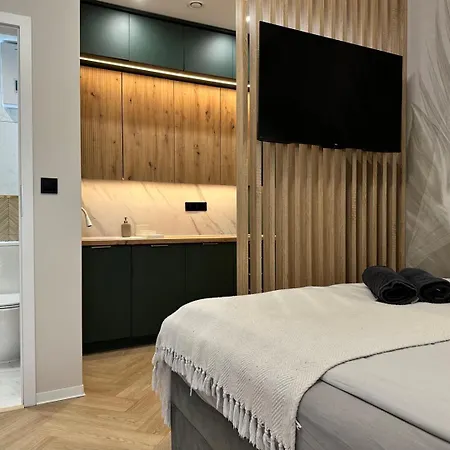 Appartement Bedthoven Premium Self Check-in & Parking Tychy